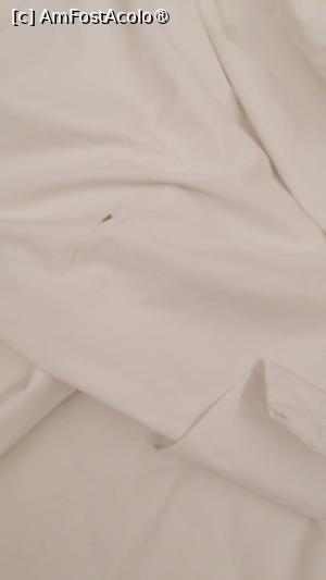 [P02]  -- <small>// FĂRĂ DESCRIERE</small> » foto by an_ca2003
 - 
<span class="allrVoted glyphicon glyphicon-heart hidden" id="av1497175"></span>
<a class="m-l-10 hidden" id="sv1497175" onclick="voting_Foto_DelVot(,1497175,3875)" role="button">șterge vot <span class="glyphicon glyphicon-remove"></span></a>
<a id="v91497175" class=" c-red"  onclick="voting_Foto_SetVot(1497175)" role="button"><span class="glyphicon glyphicon-heart-empty"></span> <b>LIKE</b> = Votează poza</a> <img class="hidden"  id="f1497175W9" src="/imagini/loader.gif" border="0" /><span class="AjErrMes hidden" id="e1497175ErM"></span>