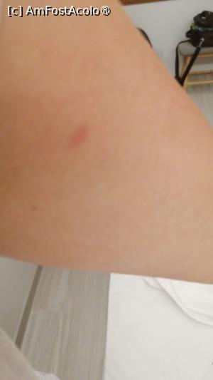 [P03]  -- <small>// FĂRĂ DESCRIERE</small> » foto by an_ca2003
 - 
<span class="allrVoted glyphicon glyphicon-heart hidden" id="av1497176"></span>
<a class="m-l-10 hidden" id="sv1497176" onclick="voting_Foto_DelVot(,1497176,3875)" role="button">șterge vot <span class="glyphicon glyphicon-remove"></span></a>
<a id="v91497176" class=" c-red"  onclick="voting_Foto_SetVot(1497176)" role="button"><span class="glyphicon glyphicon-heart-empty"></span> <b>LIKE</b> = Votează poza</a> <img class="hidden"  id="f1497176W9" src="/imagini/loader.gif" border="0" /><span class="AjErrMes hidden" id="e1497176ErM"></span>