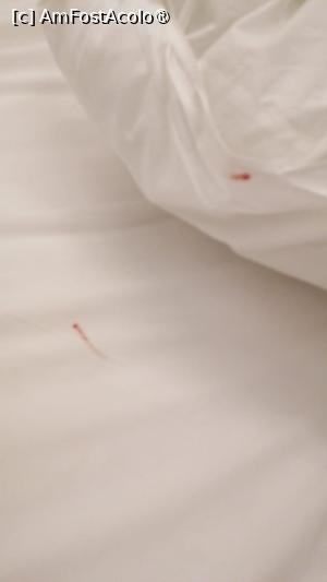 [P04]  -- <small>// FĂRĂ DESCRIERE</small> » foto by an_ca2003
 - 
<span class="allrVoted glyphicon glyphicon-heart hidden" id="av1497177"></span>
<a class="m-l-10 hidden" id="sv1497177" onclick="voting_Foto_DelVot(,1497177,3875)" role="button">șterge vot <span class="glyphicon glyphicon-remove"></span></a>
<a id="v91497177" class=" c-red"  onclick="voting_Foto_SetVot(1497177)" role="button"><span class="glyphicon glyphicon-heart-empty"></span> <b>LIKE</b> = Votează poza</a> <img class="hidden"  id="f1497177W9" src="/imagini/loader.gif" border="0" /><span class="AjErrMes hidden" id="e1497177ErM"></span>