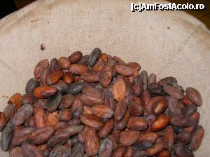 [P30] Strasbourg - Muzeul ”Secretele Ciocolatei” - boabe de cacao.  » foto by doina_c24
 - 
<span class="allrVoted glyphicon glyphicon-heart hidden" id="av401841"></span>
<a class="m-l-10 hidden" id="sv401841" onclick="voting_Foto_DelVot(,401841,3883)" role="button">șterge vot <span class="glyphicon glyphicon-remove"></span></a>
<a id="v9401841" class=" c-red"  onclick="voting_Foto_SetVot(401841)" role="button"><span class="glyphicon glyphicon-heart-empty"></span> <b>LIKE</b> = Votează poza</a> <img class="hidden"  id="f401841W9" src="/imagini/loader.gif" border="0" /><span class="AjErrMes hidden" id="e401841ErM"></span>