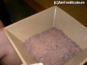 [P31] Strasbourg - Muzeul ”Secretele Ciocolatei” » foto by doina_c24
 - 
<span class="allrVoted glyphicon glyphicon-heart hidden" id="av401842"></span>
<a class="m-l-10 hidden" id="sv401842" onclick="voting_Foto_DelVot(,401842,3883)" role="button">șterge vot <span class="glyphicon glyphicon-remove"></span></a>
<a id="v9401842" class=" c-red"  onclick="voting_Foto_SetVot(401842)" role="button"><span class="glyphicon glyphicon-heart-empty"></span> <b>LIKE</b> = Votează poza</a> <img class="hidden"  id="f401842W9" src="/imagini/loader.gif" border="0" /><span class="AjErrMes hidden" id="e401842ErM"></span>