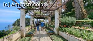 [P11] Coloane și pergole la Villa San Michele » foto by irinad
 - 
<span class="allrVoted glyphicon glyphicon-heart hidden" id="av1541460"></span>
<a class="m-l-10 hidden" id="sv1541460" onclick="voting_Foto_DelVot(,1541460,3887)" role="button">șterge vot <span class="glyphicon glyphicon-remove"></span></a>
<a id="v91541460" class=" c-red"  onclick="voting_Foto_SetVot(1541460)" role="button"><span class="glyphicon glyphicon-heart-empty"></span> <b>LIKE</b> = Votează poza</a> <img class="hidden"  id="f1541460W9" src="/imagini/loader.gif" border="0" /><span class="AjErrMes hidden" id="e1541460ErM"></span>