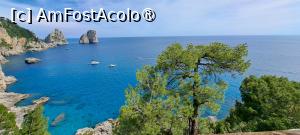 [P49] Imagini ca aceasta cu stâncile Faraglioni și vase de croazieră te însoțesc permanent » foto by irinad
 - 
<span class="allrVoted glyphicon glyphicon-heart hidden" id="av1541498"></span>
<a class="m-l-10 hidden" id="sv1541498" onclick="voting_Foto_DelVot(,1541498,3887)" role="button">șterge vot <span class="glyphicon glyphicon-remove"></span></a>
<a id="v91541498" class=" c-red"  onclick="voting_Foto_SetVot(1541498)" role="button"><span class="glyphicon glyphicon-heart-empty"></span> <b>LIKE</b> = Votează poza</a> <img class="hidden"  id="f1541498W9" src="/imagini/loader.gif" border="0" /><span class="AjErrMes hidden" id="e1541498ErM"></span>