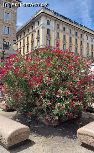 [P16] Pată veselă de culoare » foto by mnn
 - 
<span class="allrVoted glyphicon glyphicon-heart hidden" id="av1539736"></span>
<a class="m-l-10 hidden" id="sv1539736" onclick="voting_Foto_DelVot(,1539736,3925)" role="button">șterge vot <span class="glyphicon glyphicon-remove"></span></a>
<a id="v91539736" class=" c-red"  onclick="voting_Foto_SetVot(1539736)" role="button"><span class="glyphicon glyphicon-heart-empty"></span> <b>LIKE</b> = Votează poza</a> <img class="hidden"  id="f1539736W9" src="/imagini/loader.gif" border="0" /><span class="AjErrMes hidden" id="e1539736ErM"></span>
