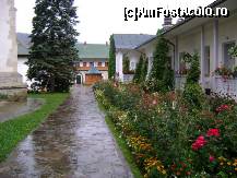 [P06] Nu stiu cit a putut surprinde fotografia da cred ca se simte linistea... » foto by vasilefilipescu
 - 
<span class="allrVoted glyphicon glyphicon-heart hidden" id="av41860"></span>
<a class="m-l-10 hidden" id="sv41860" onclick="voting_Foto_DelVot(,41860,3935)" role="button">șterge vot <span class="glyphicon glyphicon-remove"></span></a>
<a id="v941860" class=" c-red"  onclick="voting_Foto_SetVot(41860)" role="button"><span class="glyphicon glyphicon-heart-empty"></span> <b>LIKE</b> = Votează poza</a> <img class="hidden"  id="f41860W9" src="/imagini/loader.gif" border="0" /><span class="AjErrMes hidden" id="e41860ErM"></span>