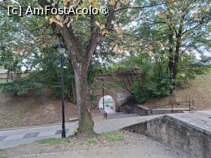 [P83] Strada Cetății - parcul » foto by Carmen Ion
 - 
<span class="allrVoted glyphicon glyphicon-heart hidden" id="av1513660"></span>
<a class="m-l-10 hidden" id="sv1513660" onclick="voting_Foto_DelVot(,1513660,3936)" role="button">șterge vot <span class="glyphicon glyphicon-remove"></span></a>
<a id="v91513660" class=" c-red"  onclick="voting_Foto_SetVot(1513660)" role="button"><span class="glyphicon glyphicon-heart-empty"></span> <b>LIKE</b> = Votează poza</a> <img class="hidden"  id="f1513660W9" src="/imagini/loader.gif" border="0" /><span class="AjErrMes hidden" id="e1513660ErM"></span>