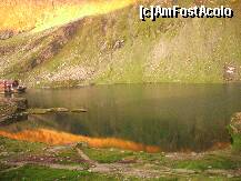 [P11] Razele soarelui se scalda in Lacul Balea » foto by Lumis66
 - 
<span class="allrVoted glyphicon glyphicon-heart hidden" id="av185736"></span>
<a class="m-l-10 hidden" id="sv185736" onclick="voting_Foto_DelVot(,185736,3937)" role="button">șterge vot <span class="glyphicon glyphicon-remove"></span></a>
<a id="v9185736" class=" c-red"  onclick="voting_Foto_SetVot(185736)" role="button"><span class="glyphicon glyphicon-heart-empty"></span> <b>LIKE</b> = Votează poza</a> <img class="hidden"  id="f185736W9" src="/imagini/loader.gif" border="0" /><span class="AjErrMes hidden" id="e185736ErM"></span>