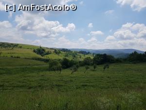 [P01] Pe drumul către localitatea Potoc, &icirc;n apropiere de Parcul Național Cheile Nerei-Beușnița. » foto by Floryn81
 - 
<span class="allrVoted glyphicon glyphicon-heart hidden" id="av1176880"></span>
<a class="m-l-10 hidden" id="sv1176880" onclick="voting_Foto_DelVot(,1176880,3939)" role="button">șterge vot <span class="glyphicon glyphicon-remove"></span></a>
<a id="v91176880" class=" c-red"  onclick="voting_Foto_SetVot(1176880)" role="button"><span class="glyphicon glyphicon-heart-empty"></span> <b>LIKE</b> = Votează poza</a> <img class="hidden"  id="f1176880W9" src="/imagini/loader.gif" border="0" /><span class="AjErrMes hidden" id="e1176880ErM"></span>