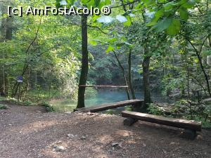 [P10] La c&acirc;țiva metri de lacul Ochiul Beiului. » foto by Floryn81
 - 
<span class="allrVoted glyphicon glyphicon-heart hidden" id="av1176889"></span>
<a class="m-l-10 hidden" id="sv1176889" onclick="voting_Foto_DelVot(,1176889,3939)" role="button">șterge vot <span class="glyphicon glyphicon-remove"></span></a>
<a id="v91176889" class=" c-red"  onclick="voting_Foto_SetVot(1176889)" role="button"><span class="glyphicon glyphicon-heart-empty"></span> <b>LIKE</b> = Votează poza</a> <img class="hidden"  id="f1176889W9" src="/imagini/loader.gif" border="0" /><span class="AjErrMes hidden" id="e1176889ErM"></span>