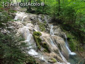 [P14] De la Ochiul Beiului am urcat pe Valea Beușnița. Am admirat numeroasele căderi de apă de pe această vale. » foto by Floryn81
 - 
<span class="allrVoted glyphicon glyphicon-heart hidden" id="av1176893"></span>
<a class="m-l-10 hidden" id="sv1176893" onclick="voting_Foto_DelVot(,1176893,3939)" role="button">șterge vot <span class="glyphicon glyphicon-remove"></span></a>
<a id="v91176893" class=" c-red"  onclick="voting_Foto_SetVot(1176893)" role="button"><span class="glyphicon glyphicon-heart-empty"></span> <b>LIKE</b> = Votează poza</a> <img class="hidden"  id="f1176893W9" src="/imagini/loader.gif" border="0" /><span class="AjErrMes hidden" id="e1176893ErM"></span>