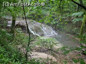 [P15] Continuăm plimbarea pe l&acirc;ngă Beușnița. » foto by Floryn81
 - 
<span class="allrVoted glyphicon glyphicon-heart hidden" id="av1176894"></span>
<a class="m-l-10 hidden" id="sv1176894" onclick="voting_Foto_DelVot(,1176894,3939)" role="button">șterge vot <span class="glyphicon glyphicon-remove"></span></a>
<a id="v91176894" class=" c-red"  onclick="voting_Foto_SetVot(1176894)" role="button"><span class="glyphicon glyphicon-heart-empty"></span> <b>LIKE</b> = Votează poza</a> <img class="hidden"  id="f1176894W9" src="/imagini/loader.gif" border="0" /><span class="AjErrMes hidden" id="e1176894ErM"></span>