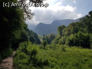 [P16] Poiana Beușniței, locul unde t&acirc;nărul bei ar fi &icirc;nt&acirc;lnit-o pe frumoasa ciobăniță. » foto by Floryn81
 - 
<span class="allrVoted glyphicon glyphicon-heart hidden" id="av1176895"></span>
<a class="m-l-10 hidden" id="sv1176895" onclick="voting_Foto_DelVot(,1176895,3939)" role="button">șterge vot <span class="glyphicon glyphicon-remove"></span></a>
<a id="v91176895" class=" c-red"  onclick="voting_Foto_SetVot(1176895)" role="button"><span class="glyphicon glyphicon-heart-empty"></span> <b>LIKE</b> = Votează poza</a> <img class="hidden"  id="f1176895W9" src="/imagini/loader.gif" border="0" /><span class="AjErrMes hidden" id="e1176895ErM"></span>