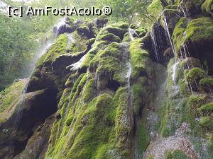 [P19] Cascada Beușnița - vedere din alt unghi. » foto by Floryn81
 - 
<span class="allrVoted glyphicon glyphicon-heart hidden" id="av1176898"></span>
<a class="m-l-10 hidden" id="sv1176898" onclick="voting_Foto_DelVot(,1176898,3939)" role="button">șterge vot <span class="glyphicon glyphicon-remove"></span></a>
<a id="v91176898" class=" c-red"  onclick="voting_Foto_SetVot(1176898)" role="button"><span class="glyphicon glyphicon-heart-empty"></span> <b>LIKE</b> = Votează poza</a> <img class="hidden"  id="f1176898W9" src="/imagini/loader.gif" border="0" /><span class="AjErrMes hidden" id="e1176898ErM"></span>