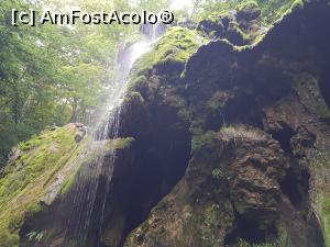 [P20] L&acirc;ngă perdeaua de apă a Beușniței. » foto by Floryn81
 - 
<span class="allrVoted glyphicon glyphicon-heart hidden" id="av1176899"></span>
<a class="m-l-10 hidden" id="sv1176899" onclick="voting_Foto_DelVot(,1176899,3939)" role="button">șterge vot <span class="glyphicon glyphicon-remove"></span></a>
<a id="v91176899" class=" c-red"  onclick="voting_Foto_SetVot(1176899)" role="button"><span class="glyphicon glyphicon-heart-empty"></span> <b>LIKE</b> = Votează poza</a> <img class="hidden"  id="f1176899W9" src="/imagini/loader.gif" border="0" /><span class="AjErrMes hidden" id="e1176899ErM"></span>