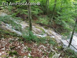 [P23] Am pornit &icirc;napoi către Ochiul Beiului. » foto by Floryn81
 - 
<span class="allrVoted glyphicon glyphicon-heart hidden" id="av1176902"></span>
<a class="m-l-10 hidden" id="sv1176902" onclick="voting_Foto_DelVot(,1176902,3939)" role="button">șterge vot <span class="glyphicon glyphicon-remove"></span></a>
<a id="v91176902" class=" c-red"  onclick="voting_Foto_SetVot(1176902)" role="button"><span class="glyphicon glyphicon-heart-empty"></span> <b>LIKE</b> = Votează poza</a> <img class="hidden"  id="f1176902W9" src="/imagini/loader.gif" border="0" /><span class="AjErrMes hidden" id="e1176902ErM"></span>