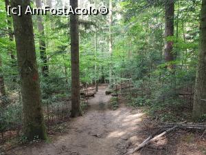 [P24] Coboram pe poteca spre Ochiul Beiului. » foto by Floryn81
 - 
<span class="allrVoted glyphicon glyphicon-heart hidden" id="av1176903"></span>
<a class="m-l-10 hidden" id="sv1176903" onclick="voting_Foto_DelVot(,1176903,3939)" role="button">șterge vot <span class="glyphicon glyphicon-remove"></span></a>
<a id="v91176903" class=" c-red"  onclick="voting_Foto_SetVot(1176903)" role="button"><span class="glyphicon glyphicon-heart-empty"></span> <b>LIKE</b> = Votează poza</a> <img class="hidden"  id="f1176903W9" src="/imagini/loader.gif" border="0" /><span class="AjErrMes hidden" id="e1176903ErM"></span>