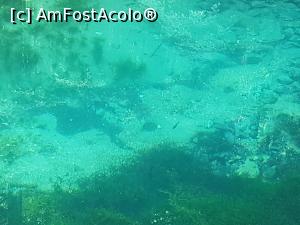 [P26] Am admirat peștișorii din apa limpede a lacului Ochiul Beiului. » foto by Floryn81
 - 
<span class="allrVoted glyphicon glyphicon-heart hidden" id="av1176905"></span>
<a class="m-l-10 hidden" id="sv1176905" onclick="voting_Foto_DelVot(,1176905,3939)" role="button">șterge vot <span class="glyphicon glyphicon-remove"></span></a>
<a id="v91176905" class=" c-red"  onclick="voting_Foto_SetVot(1176905)" role="button"><span class="glyphicon glyphicon-heart-empty"></span> <b>LIKE</b> = Votează poza</a> <img class="hidden"  id="f1176905W9" src="/imagini/loader.gif" border="0" /><span class="AjErrMes hidden" id="e1176905ErM"></span>