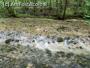 [P27] Valea Bei/Beu - un loc de poveste. » foto by Floryn81
 - 
<span class="allrVoted glyphicon glyphicon-heart hidden" id="av1176906"></span>
<a class="m-l-10 hidden" id="sv1176906" onclick="voting_Foto_DelVot(,1176906,3939)" role="button">șterge vot <span class="glyphicon glyphicon-remove"></span></a>
<a id="v91176906" class=" c-red"  onclick="voting_Foto_SetVot(1176906)" role="button"><span class="glyphicon glyphicon-heart-empty"></span> <b>LIKE</b> = Votează poza</a> <img class="hidden"  id="f1176906W9" src="/imagini/loader.gif" border="0" /><span class="AjErrMes hidden" id="e1176906ErM"></span>