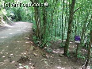 [P28] Am ajuns l&acirc;ngă o altă cascadă - &rdquo;La văioagă&rdquo;. » foto by Floryn81
 - 
<span class="allrVoted glyphicon glyphicon-heart hidden" id="av1176907"></span>
<a class="m-l-10 hidden" id="sv1176907" onclick="voting_Foto_DelVot(,1176907,3939)" role="button">șterge vot <span class="glyphicon glyphicon-remove"></span></a>
<a id="v91176907" class=" c-red"  onclick="voting_Foto_SetVot(1176907)" role="button"><span class="glyphicon glyphicon-heart-empty"></span> <b>LIKE</b> = Votează poza</a> <img class="hidden"  id="f1176907W9" src="/imagini/loader.gif" border="0" /><span class="AjErrMes hidden" id="e1176907ErM"></span>