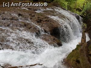 [P29] Cascada &rdquo;La văioagă&rdquo; este spectaculoasă. » foto by Floryn81
 - 
<span class="allrVoted glyphicon glyphicon-heart hidden" id="av1176908"></span>
<a class="m-l-10 hidden" id="sv1176908" onclick="voting_Foto_DelVot(,1176908,3939)" role="button">șterge vot <span class="glyphicon glyphicon-remove"></span></a>
<a id="v91176908" class=" c-red"  onclick="voting_Foto_SetVot(1176908)" role="button"><span class="glyphicon glyphicon-heart-empty"></span> <b>LIKE</b> = Votează poza</a> <img class="hidden"  id="f1176908W9" src="/imagini/loader.gif" border="0" /><span class="AjErrMes hidden" id="e1176908ErM"></span>