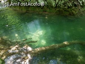 [P31] Apa limpede a Beiului, locuri de poveste. » foto by Floryn81
 - 
<span class="allrVoted glyphicon glyphicon-heart hidden" id="av1176910"></span>
<a class="m-l-10 hidden" id="sv1176910" onclick="voting_Foto_DelVot(,1176910,3939)" role="button">șterge vot <span class="glyphicon glyphicon-remove"></span></a>
<a id="v91176910" class=" c-red"  onclick="voting_Foto_SetVot(1176910)" role="button"><span class="glyphicon glyphicon-heart-empty"></span> <b>LIKE</b> = Votează poza</a> <img class="hidden"  id="f1176910W9" src="/imagini/loader.gif" border="0" /><span class="AjErrMes hidden" id="e1176910ErM"></span>