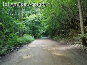 [P32] La &icirc;ntoarcere, pe drumul forestier de la păstrăvărie spre Podul Beiului. » foto by Floryn81
 - 
<span class="allrVoted glyphicon glyphicon-heart hidden" id="av1176911"></span>
<a class="m-l-10 hidden" id="sv1176911" onclick="voting_Foto_DelVot(,1176911,3939)" role="button">șterge vot <span class="glyphicon glyphicon-remove"></span></a>
<a id="v91176911" class=" c-red"  onclick="voting_Foto_SetVot(1176911)" role="button"><span class="glyphicon glyphicon-heart-empty"></span> <b>LIKE</b> = Votează poza</a> <img class="hidden"  id="f1176911W9" src="/imagini/loader.gif" border="0" /><span class="AjErrMes hidden" id="e1176911ErM"></span>