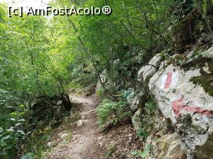 [P35] Pe traseul &rdquo;La Tunele&rdquo;. » foto by Floryn81
 - 
<span class="allrVoted glyphicon glyphicon-heart hidden" id="av1176914"></span>
<a class="m-l-10 hidden" id="sv1176914" onclick="voting_Foto_DelVot(,1176914,3939)" role="button">șterge vot <span class="glyphicon glyphicon-remove"></span></a>
<a id="v91176914" class=" c-red"  onclick="voting_Foto_SetVot(1176914)" role="button"><span class="glyphicon glyphicon-heart-empty"></span> <b>LIKE</b> = Votează poza</a> <img class="hidden"  id="f1176914W9" src="/imagini/loader.gif" border="0" /><span class="AjErrMes hidden" id="e1176914ErM"></span>