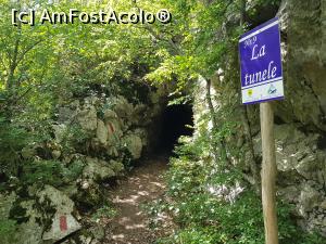 [P36] Pe traseul &rdquo;La tunele&rdquo;. » foto by Floryn81
 - 
<span class="allrVoted glyphicon glyphicon-heart hidden" id="av1176915"></span>
<a class="m-l-10 hidden" id="sv1176915" onclick="voting_Foto_DelVot(,1176915,3939)" role="button">șterge vot <span class="glyphicon glyphicon-remove"></span></a>
<a id="v91176915" class=" c-red"  onclick="voting_Foto_SetVot(1176915)" role="button"><span class="glyphicon glyphicon-heart-empty"></span> <b>LIKE</b> = Votează poza</a> <img class="hidden"  id="f1176915W9" src="/imagini/loader.gif" border="0" /><span class="AjErrMes hidden" id="e1176915ErM"></span>