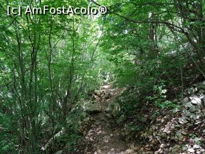 [P41] Am mai continuat pe potecă preț de c&acirc;teva minute. » foto by Floryn81
 - 
<span class="allrVoted glyphicon glyphicon-heart hidden" id="av1176920"></span>
<a class="m-l-10 hidden" id="sv1176920" onclick="voting_Foto_DelVot(,1176920,3939)" role="button">șterge vot <span class="glyphicon glyphicon-remove"></span></a>
<a id="v91176920" class=" c-red"  onclick="voting_Foto_SetVot(1176920)" role="button"><span class="glyphicon glyphicon-heart-empty"></span> <b>LIKE</b> = Votează poza</a> <img class="hidden"  id="f1176920W9" src="/imagini/loader.gif" border="0" /><span class="AjErrMes hidden" id="e1176920ErM"></span>