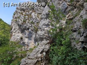 [P42] St&acirc;ncării &icirc;n Cheile Nerei. » foto by Floryn81
 - 
<span class="allrVoted glyphicon glyphicon-heart hidden" id="av1176921"></span>
<a class="m-l-10 hidden" id="sv1176921" onclick="voting_Foto_DelVot(,1176921,3939)" role="button">șterge vot <span class="glyphicon glyphicon-remove"></span></a>
<a id="v91176921" class=" c-red"  onclick="voting_Foto_SetVot(1176921)" role="button"><span class="glyphicon glyphicon-heart-empty"></span> <b>LIKE</b> = Votează poza</a> <img class="hidden"  id="f1176921W9" src="/imagini/loader.gif" border="0" /><span class="AjErrMes hidden" id="e1176921ErM"></span>