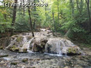 [P09] Locul unde Beușnița se &icirc;nt&acirc;lnește cu apele Beiului. » foto by Floryn81
 - 
<span class="allrVoted glyphicon glyphicon-heart hidden" id="av1176888"></span>
<a class="m-l-10 hidden" id="sv1176888" onclick="voting_Foto_DelVot(,1176888,3939)" role="button">șterge vot <span class="glyphicon glyphicon-remove"></span></a>
<a id="v91176888" class=" c-red"  onclick="voting_Foto_SetVot(1176888)" role="button"><span class="glyphicon glyphicon-heart-empty"></span> <b>LIKE</b> = Votează poza</a> <img class="hidden"  id="f1176888W9" src="/imagini/loader.gif" border="0" /><span class="AjErrMes hidden" id="e1176888ErM"></span>