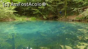 [P21] Îl înconjurăm să nu ne scape nimic :)  » foto by iuliaen
 - 
<span class="allrVoted glyphicon glyphicon-heart hidden" id="av845761"></span>
<a class="m-l-10 hidden" id="sv845761" onclick="voting_Foto_DelVot(,845761,3939)" role="button">șterge vot <span class="glyphicon glyphicon-remove"></span></a>
<a id="v9845761" class=" c-red"  onclick="voting_Foto_SetVot(845761)" role="button"><span class="glyphicon glyphicon-heart-empty"></span> <b>LIKE</b> = Votează poza</a> <img class="hidden"  id="f845761W9" src="/imagini/loader.gif" border="0" /><span class="AjErrMes hidden" id="e845761ErM"></span>