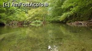 [P32] Tot în mijlocul apelor » foto by iuliaen
 - 
<span class="allrVoted glyphicon glyphicon-heart hidden" id="av845774"></span>
<a class="m-l-10 hidden" id="sv845774" onclick="voting_Foto_DelVot(,845774,3939)" role="button">șterge vot <span class="glyphicon glyphicon-remove"></span></a>
<a id="v9845774" class=" c-red"  onclick="voting_Foto_SetVot(845774)" role="button"><span class="glyphicon glyphicon-heart-empty"></span> <b>LIKE</b> = Votează poza</a> <img class="hidden"  id="f845774W9" src="/imagini/loader.gif" border="0" /><span class="AjErrMes hidden" id="e845774ErM"></span>