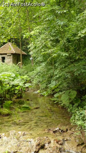 [P39] Trecem apa și ne continuăm drumul spre Cascada Șușara » foto by iuliaen
 - 
<span class="allrVoted glyphicon glyphicon-heart hidden" id="av845781"></span>
<a class="m-l-10 hidden" id="sv845781" onclick="voting_Foto_DelVot(,845781,3939)" role="button">șterge vot <span class="glyphicon glyphicon-remove"></span></a>
<a id="v9845781" class=" c-red"  onclick="voting_Foto_SetVot(845781)" role="button"><span class="glyphicon glyphicon-heart-empty"></span> <b>LIKE</b> = Votează poza</a> <img class="hidden"  id="f845781W9" src="/imagini/loader.gif" border="0" /><span class="AjErrMes hidden" id="e845781ErM"></span>