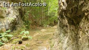[P41] Locul cu lanțuri din Cheile Șușarei » foto by iuliaen
 - 
<span class="allrVoted glyphicon glyphicon-heart hidden" id="av845783"></span>
<a class="m-l-10 hidden" id="sv845783" onclick="voting_Foto_DelVot(,845783,3939)" role="button">șterge vot <span class="glyphicon glyphicon-remove"></span></a>
<a id="v9845783" class=" c-red"  onclick="voting_Foto_SetVot(845783)" role="button"><span class="glyphicon glyphicon-heart-empty"></span> <b>LIKE</b> = Votează poza</a> <img class="hidden"  id="f845783W9" src="/imagini/loader.gif" border="0" /><span class="AjErrMes hidden" id="e845783ErM"></span>