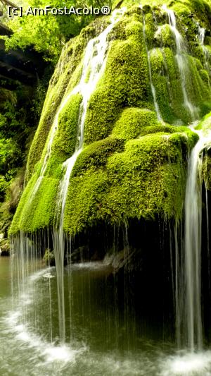 [P58] Pragurile Cascadei Bigăr » foto by iuliaen
 - 
<span class="allrVoted glyphicon glyphicon-heart hidden" id="av845800"></span>
<a class="m-l-10 hidden" id="sv845800" onclick="voting_Foto_DelVot(,845800,3939)" role="button">șterge vot <span class="glyphicon glyphicon-remove"></span></a>
<a id="v9845800" class=" c-red"  onclick="voting_Foto_SetVot(845800)" role="button"><span class="glyphicon glyphicon-heart-empty"></span> <b>LIKE</b> = Votează poza</a> <img class="hidden"  id="f845800W9" src="/imagini/loader.gif" border="0" /><span class="AjErrMes hidden" id="e845800ErM"></span>