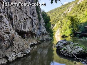 [P28] Drumeție pe traseul marcat cu bandă roșie care străbate Cheile Nerei, 20km » foto by Dana2008
 - 
<span class="allrVoted glyphicon glyphicon-heart hidden" id="av1176033"></span>
<a class="m-l-10 hidden" id="sv1176033" onclick="voting_Foto_DelVot(,1176033,3939)" role="button">șterge vot <span class="glyphicon glyphicon-remove"></span></a>
<a id="v91176033" class=" c-red"  onclick="voting_Foto_SetVot(1176033)" role="button"><span class="glyphicon glyphicon-heart-empty"></span> <b>LIKE</b> = Votează poza</a> <img class="hidden"  id="f1176033W9" src="/imagini/loader.gif" border="0" /><span class="AjErrMes hidden" id="e1176033ErM"></span>