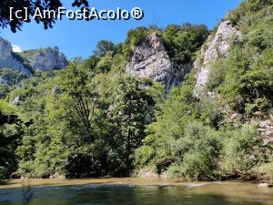 [P36] Drumeție pe traseul marcat cu bandă roșie care străbate Cheile Nerei, 20km » foto by Dana2008
 - 
<span class="allrVoted glyphicon glyphicon-heart hidden" id="av1176041"></span>
<a class="m-l-10 hidden" id="sv1176041" onclick="voting_Foto_DelVot(,1176041,3939)" role="button">șterge vot <span class="glyphicon glyphicon-remove"></span></a>
<a id="v91176041" class=" c-red"  onclick="voting_Foto_SetVot(1176041)" role="button"><span class="glyphicon glyphicon-heart-empty"></span> <b>LIKE</b> = Votează poza</a> <img class="hidden"  id="f1176041W9" src="/imagini/loader.gif" border="0" /><span class="AjErrMes hidden" id="e1176041ErM"></span>