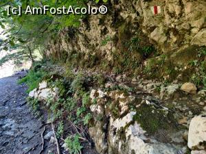 [P37] Drumeție pe traseul marcat cu bandă roșie care străbate Cheile Nerei, 20km » foto by Dana2008
 - 
<span class="allrVoted glyphicon glyphicon-heart hidden" id="av1176042"></span>
<a class="m-l-10 hidden" id="sv1176042" onclick="voting_Foto_DelVot(,1176042,3939)" role="button">șterge vot <span class="glyphicon glyphicon-remove"></span></a>
<a id="v91176042" class=" c-red"  onclick="voting_Foto_SetVot(1176042)" role="button"><span class="glyphicon glyphicon-heart-empty"></span> <b>LIKE</b> = Votează poza</a> <img class="hidden"  id="f1176042W9" src="/imagini/loader.gif" border="0" /><span class="AjErrMes hidden" id="e1176042ErM"></span>