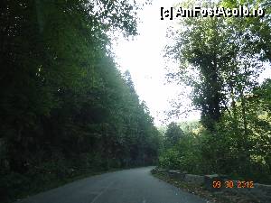 [P03] Valea Minisului - Pe drum, inainte de Lacul Gura Golumbului si Paralela 45 » foto by TaniaT
 - 
<span class="allrVoted glyphicon glyphicon-heart hidden" id="av377129"></span>
<a class="m-l-10 hidden" id="sv377129" onclick="voting_Foto_DelVot(,377129,3939)" role="button">șterge vot <span class="glyphicon glyphicon-remove"></span></a>
<a id="v9377129" class=" c-red"  onclick="voting_Foto_SetVot(377129)" role="button"><span class="glyphicon glyphicon-heart-empty"></span> <b>LIKE</b> = Votează poza</a> <img class="hidden"  id="f377129W9" src="/imagini/loader.gif" border="0" /><span class="AjErrMes hidden" id="e377129ErM"></span>