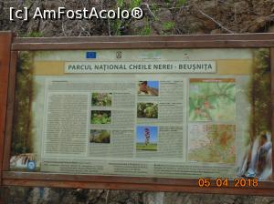 [P20]  -- <small>// FĂRĂ DESCRIERE</small> » foto by Denisa13
 - 
<span class="allrVoted glyphicon glyphicon-heart hidden" id="av959478"></span>
<a class="m-l-10 hidden" id="sv959478" onclick="voting_Foto_DelVot(,959478,3939)" role="button">șterge vot <span class="glyphicon glyphicon-remove"></span></a>
<a id="v9959478" class=" c-red"  onclick="voting_Foto_SetVot(959478)" role="button"><span class="glyphicon glyphicon-heart-empty"></span> <b>LIKE</b> = Votează poza</a> <img class="hidden"  id="f959478W9" src="/imagini/loader.gif" border="0" /><span class="AjErrMes hidden" id="e959478ErM"></span>