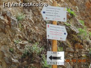 [P22] incotro? ... la stanga » foto by Denisa13
 - 
<span class="allrVoted glyphicon glyphicon-heart hidden" id="av959480"></span>
<a class="m-l-10 hidden" id="sv959480" onclick="voting_Foto_DelVot(,959480,3939)" role="button">șterge vot <span class="glyphicon glyphicon-remove"></span></a>
<a id="v9959480" class=" c-red"  onclick="voting_Foto_SetVot(959480)" role="button"><span class="glyphicon glyphicon-heart-empty"></span> <b>LIKE</b> = Votează poza</a> <img class="hidden"  id="f959480W9" src="/imagini/loader.gif" border="0" /><span class="AjErrMes hidden" id="e959480ErM"></span>