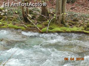 [P26]  -- <small>// FĂRĂ DESCRIERE</small> » foto by Denisa13
 - 
<span class="allrVoted glyphicon glyphicon-heart hidden" id="av959483"></span>
<a class="m-l-10 hidden" id="sv959483" onclick="voting_Foto_DelVot(,959483,3939)" role="button">șterge vot <span class="glyphicon glyphicon-remove"></span></a>
<a id="v9959483" class=" c-red"  onclick="voting_Foto_SetVot(959483)" role="button"><span class="glyphicon glyphicon-heart-empty"></span> <b>LIKE</b> = Votează poza</a> <img class="hidden"  id="f959483W9" src="/imagini/loader.gif" border="0" /><span class="AjErrMes hidden" id="e959483ErM"></span>