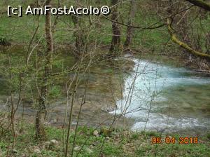 [P27]  -- <small>// FĂRĂ DESCRIERE</small> » foto by Denisa13
 - 
<span class="allrVoted glyphicon glyphicon-heart hidden" id="av959484"></span>
<a class="m-l-10 hidden" id="sv959484" onclick="voting_Foto_DelVot(,959484,3939)" role="button">șterge vot <span class="glyphicon glyphicon-remove"></span></a>
<a id="v9959484" class=" c-red"  onclick="voting_Foto_SetVot(959484)" role="button"><span class="glyphicon glyphicon-heart-empty"></span> <b>LIKE</b> = Votează poza</a> <img class="hidden"  id="f959484W9" src="/imagini/loader.gif" border="0" /><span class="AjErrMes hidden" id="e959484ErM"></span>