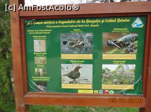 [P30]  -- <small>// FĂRĂ DESCRIERE</small> » foto by Denisa13
 - 
<span class="allrVoted glyphicon glyphicon-heart hidden" id="av959487"></span>
<a class="m-l-10 hidden" id="sv959487" onclick="voting_Foto_DelVot(,959487,3939)" role="button">șterge vot <span class="glyphicon glyphicon-remove"></span></a>
<a id="v9959487" class=" c-red"  onclick="voting_Foto_SetVot(959487)" role="button"><span class="glyphicon glyphicon-heart-empty"></span> <b>LIKE</b> = Votează poza</a> <img class="hidden"  id="f959487W9" src="/imagini/loader.gif" border="0" /><span class="AjErrMes hidden" id="e959487ErM"></span>