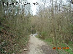 [P31] poteca iar la capatul ei se zaresc cascadele Beusnita » foto by Denisa13
 - 
<span class="allrVoted glyphicon glyphicon-heart hidden" id="av959488"></span>
<a class="m-l-10 hidden" id="sv959488" onclick="voting_Foto_DelVot(,959488,3939)" role="button">șterge vot <span class="glyphicon glyphicon-remove"></span></a>
<a id="v9959488" class=" c-red"  onclick="voting_Foto_SetVot(959488)" role="button"><span class="glyphicon glyphicon-heart-empty"></span> <b>LIKE</b> = Votează poza</a> <img class="hidden"  id="f959488W9" src="/imagini/loader.gif" border="0" /><span class="AjErrMes hidden" id="e959488ErM"></span>