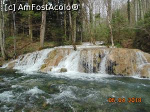 [P33]  -- <small>// FĂRĂ DESCRIERE</small> » foto by Denisa13
 - 
<span class="allrVoted glyphicon glyphicon-heart hidden" id="av959490"></span>
<a class="m-l-10 hidden" id="sv959490" onclick="voting_Foto_DelVot(,959490,3939)" role="button">șterge vot <span class="glyphicon glyphicon-remove"></span></a>
<a id="v9959490" class=" c-red"  onclick="voting_Foto_SetVot(959490)" role="button"><span class="glyphicon glyphicon-heart-empty"></span> <b>LIKE</b> = Votează poza</a> <img class="hidden"  id="f959490W9" src="/imagini/loader.gif" border="0" /><span class="AjErrMes hidden" id="e959490ErM"></span>