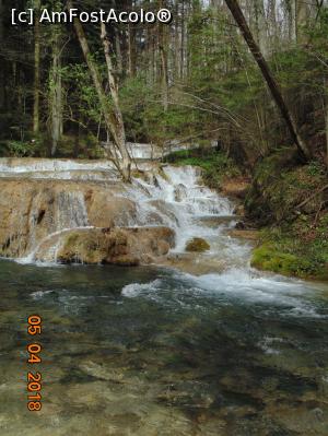 [P34]  -- <small>// FĂRĂ DESCRIERE</small> » foto by Denisa13
 - 
<span class="allrVoted glyphicon glyphicon-heart hidden" id="av959491"></span>
<a class="m-l-10 hidden" id="sv959491" onclick="voting_Foto_DelVot(,959491,3939)" role="button">șterge vot <span class="glyphicon glyphicon-remove"></span></a>
<a id="v9959491" class=" c-red"  onclick="voting_Foto_SetVot(959491)" role="button"><span class="glyphicon glyphicon-heart-empty"></span> <b>LIKE</b> = Votează poza</a> <img class="hidden"  id="f959491W9" src="/imagini/loader.gif" border="0" /><span class="AjErrMes hidden" id="e959491ErM"></span>