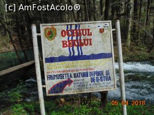 [P36]  -- <small>// FĂRĂ DESCRIERE</small> » foto by Denisa13
 - 
<span class="allrVoted glyphicon glyphicon-heart hidden" id="av959493"></span>
<a class="m-l-10 hidden" id="sv959493" onclick="voting_Foto_DelVot(,959493,3939)" role="button">șterge vot <span class="glyphicon glyphicon-remove"></span></a>
<a id="v9959493" class=" c-red"  onclick="voting_Foto_SetVot(959493)" role="button"><span class="glyphicon glyphicon-heart-empty"></span> <b>LIKE</b> = Votează poza</a> <img class="hidden"  id="f959493W9" src="/imagini/loader.gif" border="0" /><span class="AjErrMes hidden" id="e959493ErM"></span>