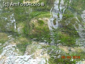 [P39] vegetatie din lacul Ochiul Beiului » foto by Denisa13
 - 
<span class="allrVoted glyphicon glyphicon-heart hidden" id="av959496"></span>
<a class="m-l-10 hidden" id="sv959496" onclick="voting_Foto_DelVot(,959496,3939)" role="button">șterge vot <span class="glyphicon glyphicon-remove"></span></a>
<a id="v9959496" class=" c-red"  onclick="voting_Foto_SetVot(959496)" role="button"><span class="glyphicon glyphicon-heart-empty"></span> <b>LIKE</b> = Votează poza</a> <img class="hidden"  id="f959496W9" src="/imagini/loader.gif" border="0" /><span class="AjErrMes hidden" id="e959496ErM"></span>